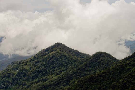 foothills of Kinabalu