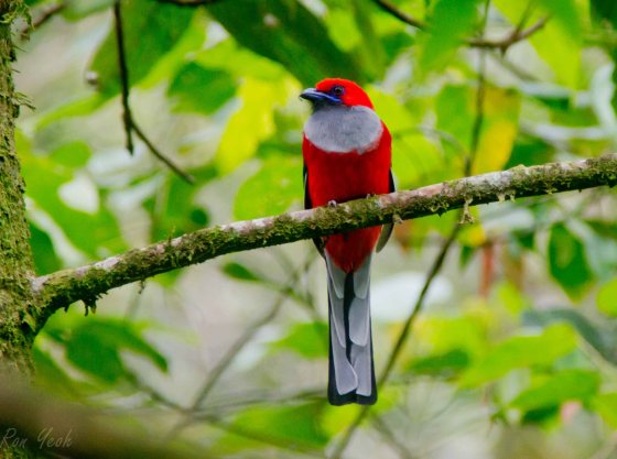 and another frontal view