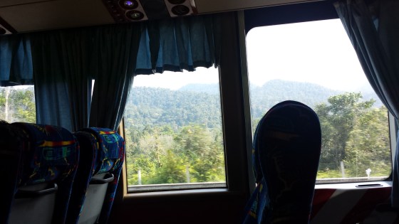 greenery on the way to butterworth