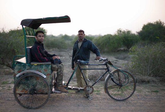 rickshaw facilitated birding