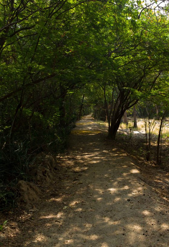 there was a nice dirt track along the side of the river...which we explored