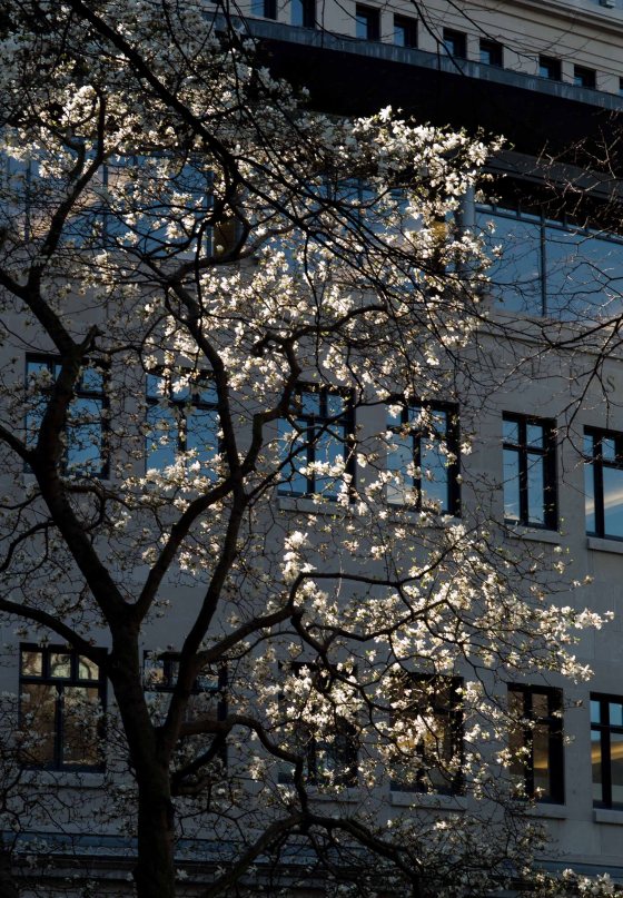 the sun shone bright