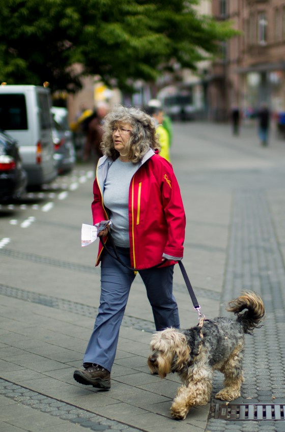 isn't it true that owners look like their dogs?