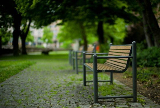 the parks were pretty