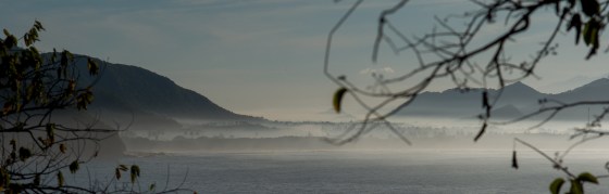 the early morning mist....