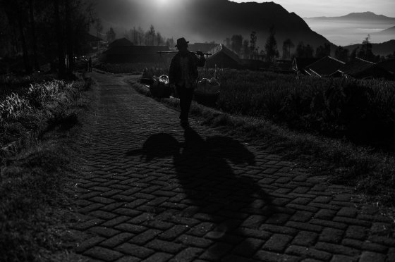 farmer heading to market