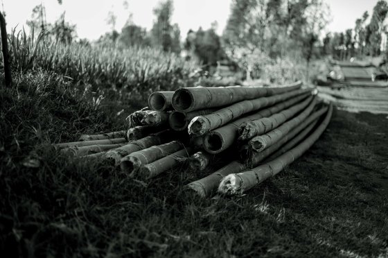 bamboo poles used a lamp posts