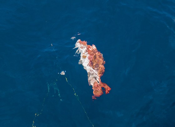 red snapper being reeled in...