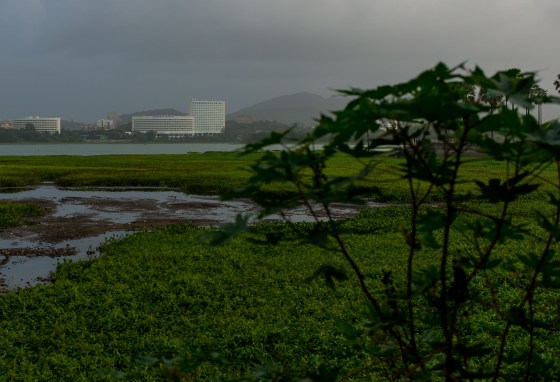 Renaissance Hotel from across the lake