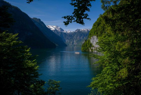 tree framed view of Konigsee