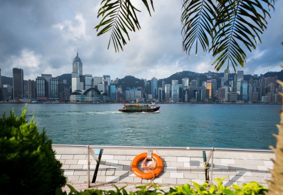 the harobour teems with tugs and boats of all description with kites flying overhead