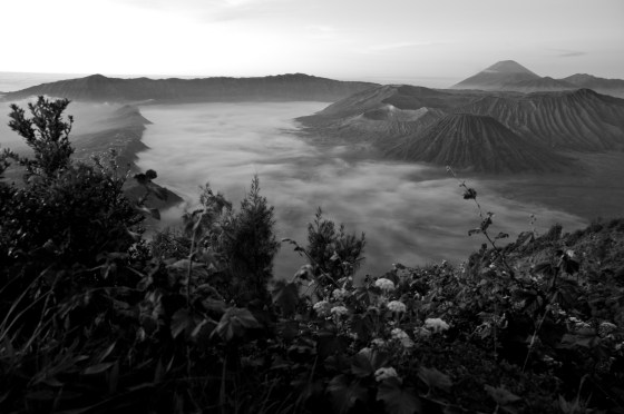 and transformed the landscape