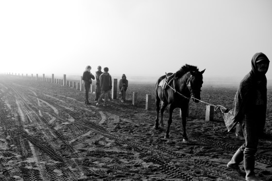 I rode one of these ponies to get to the rim of the volcano...