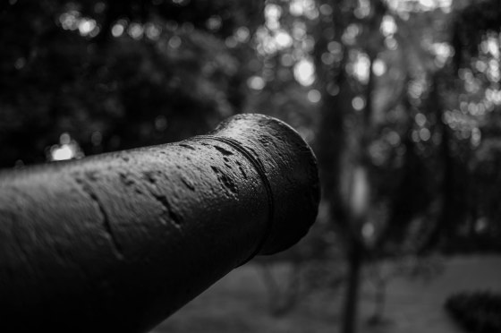 Cannons facing south as part of the southern battery