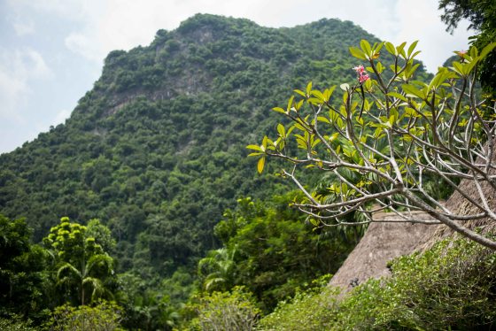 surrounded by the limestone cliffs of Ipoh
