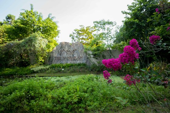 arriving at the resort
