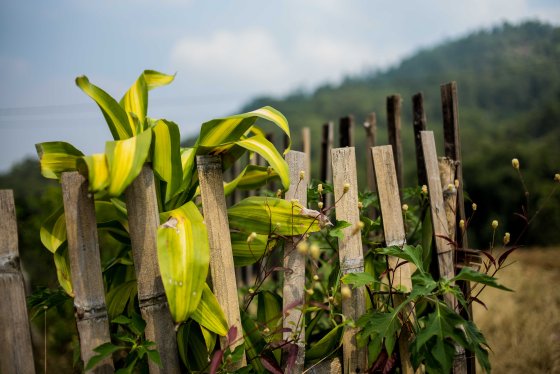 Mount Panderman oin the background
