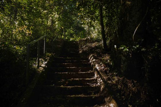 steep path up hill, not all paved or stepped like this