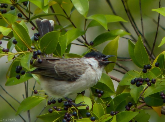 and down the hatch it goes..