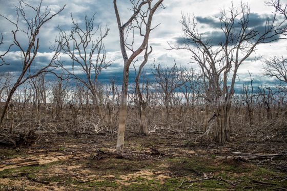 the landscape was hauntingly beautiful..