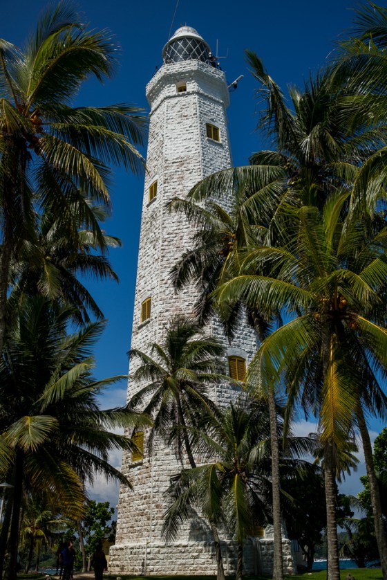 The lighthouse emerged between the coconut fronds