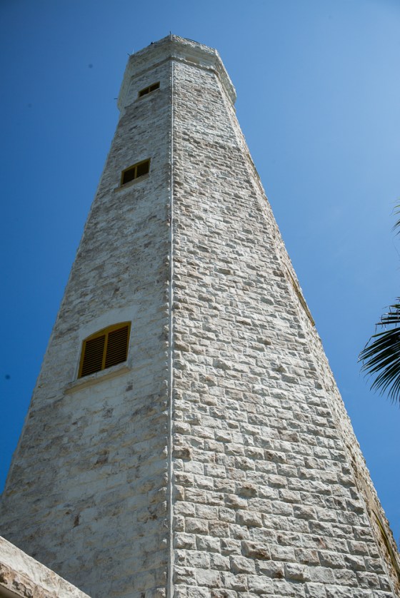 gleaming in the sunlight