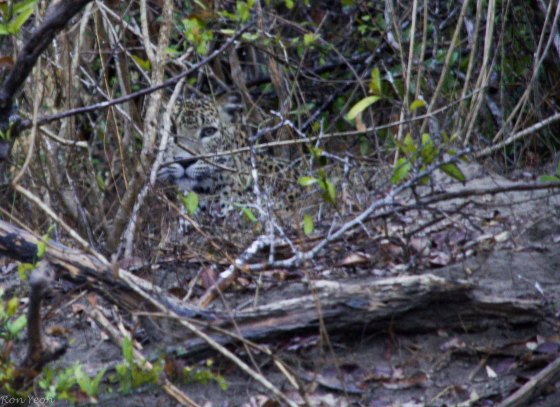 he was just sitting there..