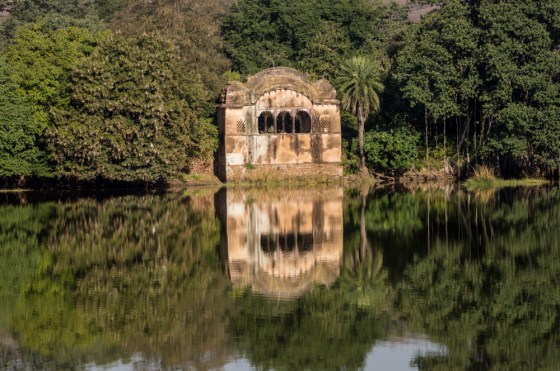 the famous tiger pavilion