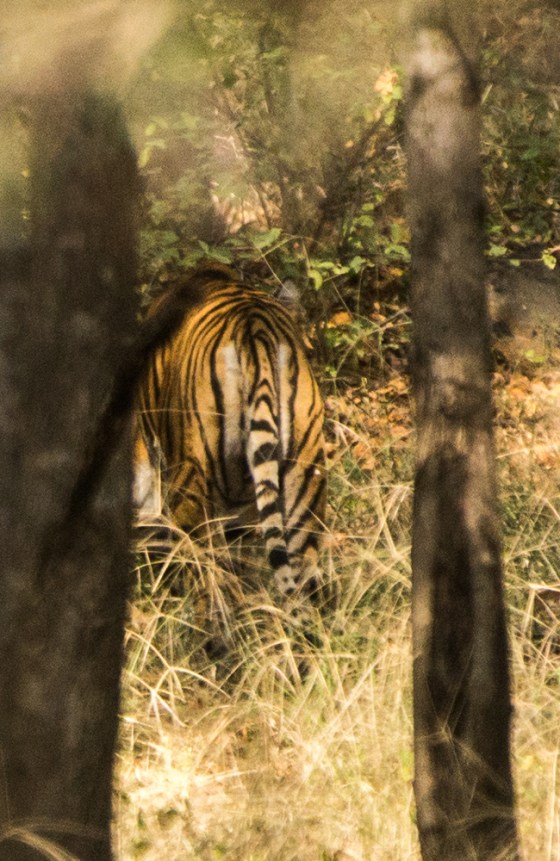 and she finally turned and walked off//