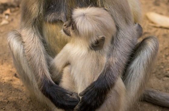 and as we left I observed this mother and child embrace...in my mother's arms...which puts things in perspective
