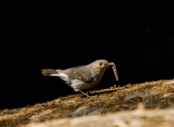 Another one with his prize