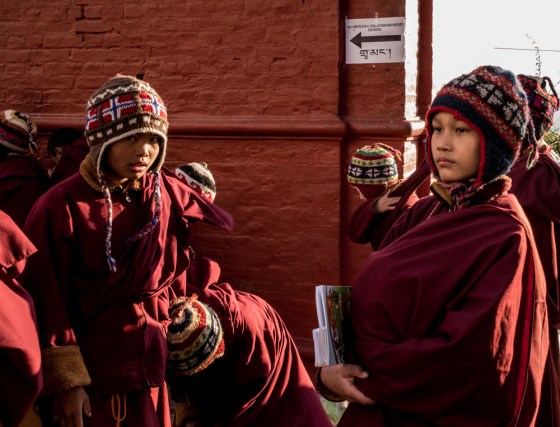 there were many novices around..here a serene and serious novice...
