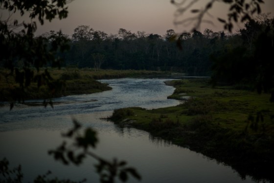 As the sun set, we discovered that we had to take our shoes and socks off to wade across the Rapti river back to our lodge! Not the easiest thing to do when laden with 2 cameras and binoculars!  