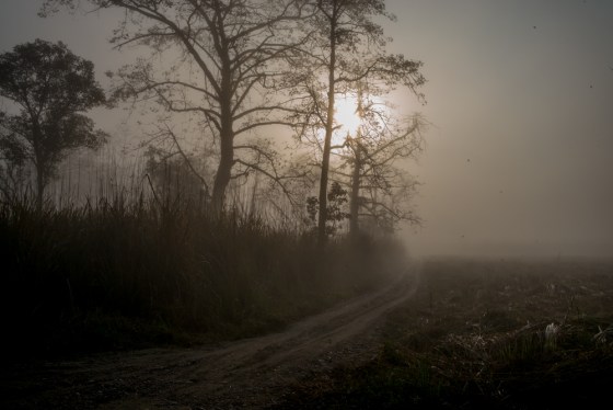 whilst visibility was not great, it was nevertheless hauntingly beautiful, though cold.