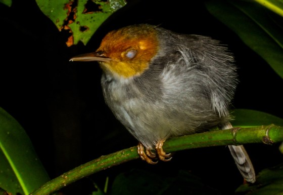 and closed them again...he seemed totally undisturbed by my presence just about a foot away...