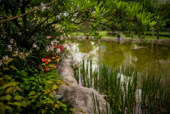 A lake in the middle...