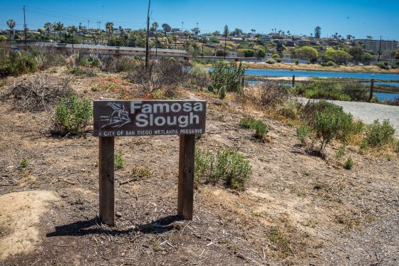 Famosa Slough..San Diego Wetlands