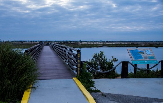 The entrance to Bolsa Chica Wetlands from the carpark on Western Pacific Highway leading to the wooden bridge