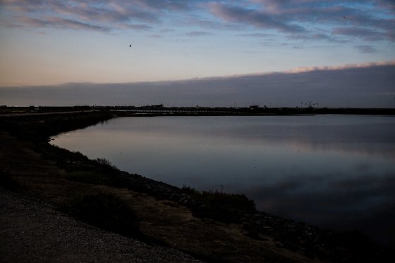 The colours were constantly changing as the sun came up..