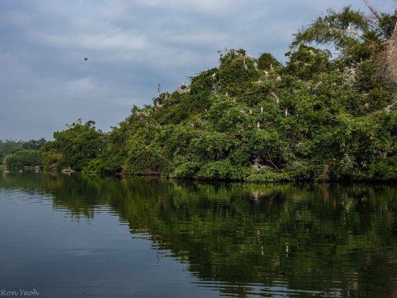 Moving further on, the scenery stayed tranquil...