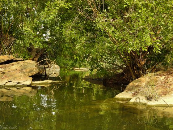 the terrain was pretty...