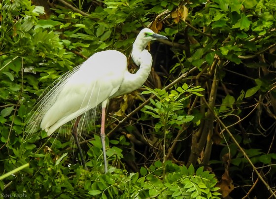 and another view..has a green patch on cheek which is interesting