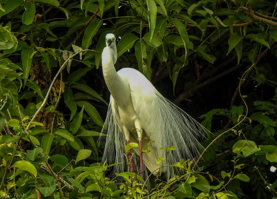 this was quite pretty too