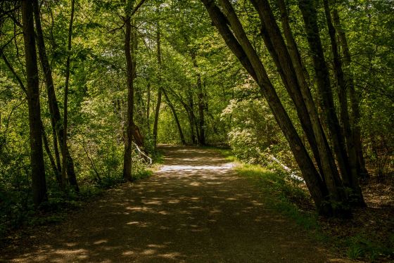 The woods are lovely dark and deep, But I have promises to keep, And miles to go before I sleep, and miles to go before I sleep. (Frost)