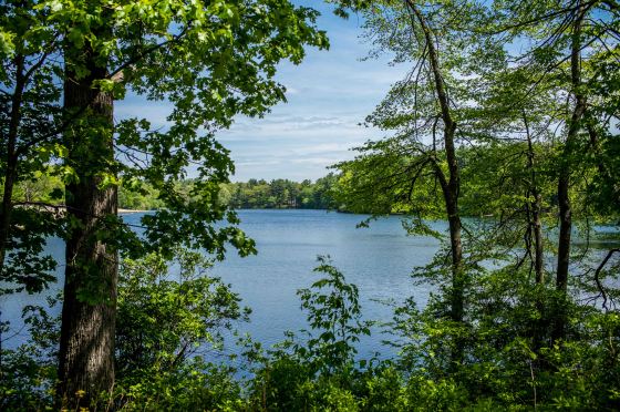 but it opened up into a large, scenic lake