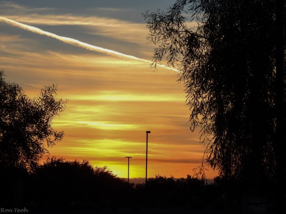 I enjoyed birding here so much that I went both mornings at 530am...