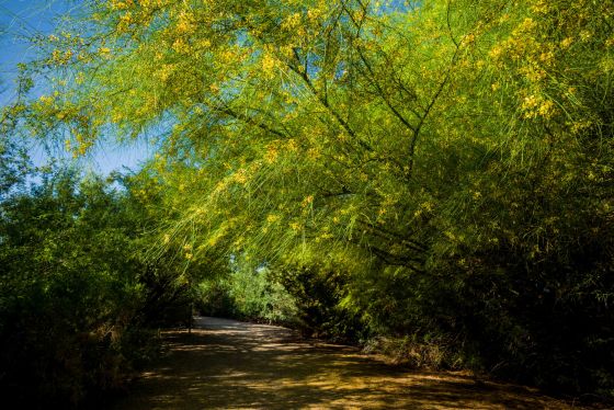 The paths were well laid out and quite quite attractive...