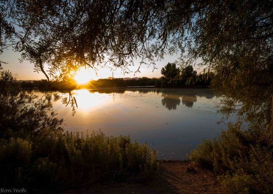 Day break at the water ranch
