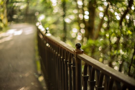 the walk is gentle along a paved road..