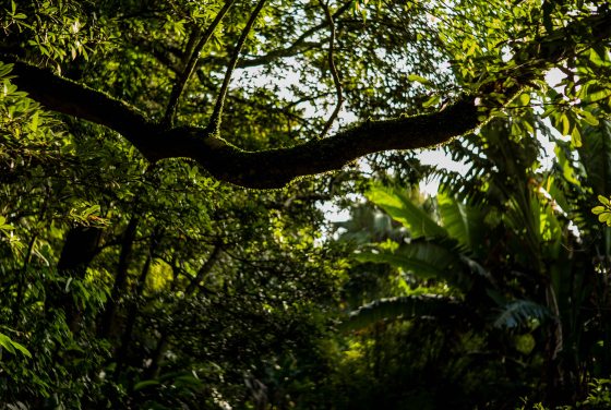 the sun started going down